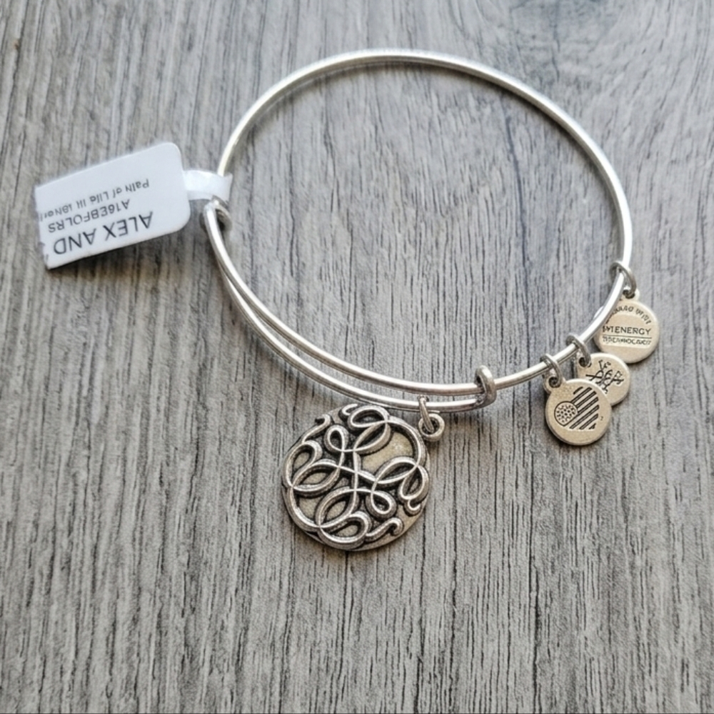 Alex and Ani Path Of Life Silver Tone Charm Bracelet~NWT